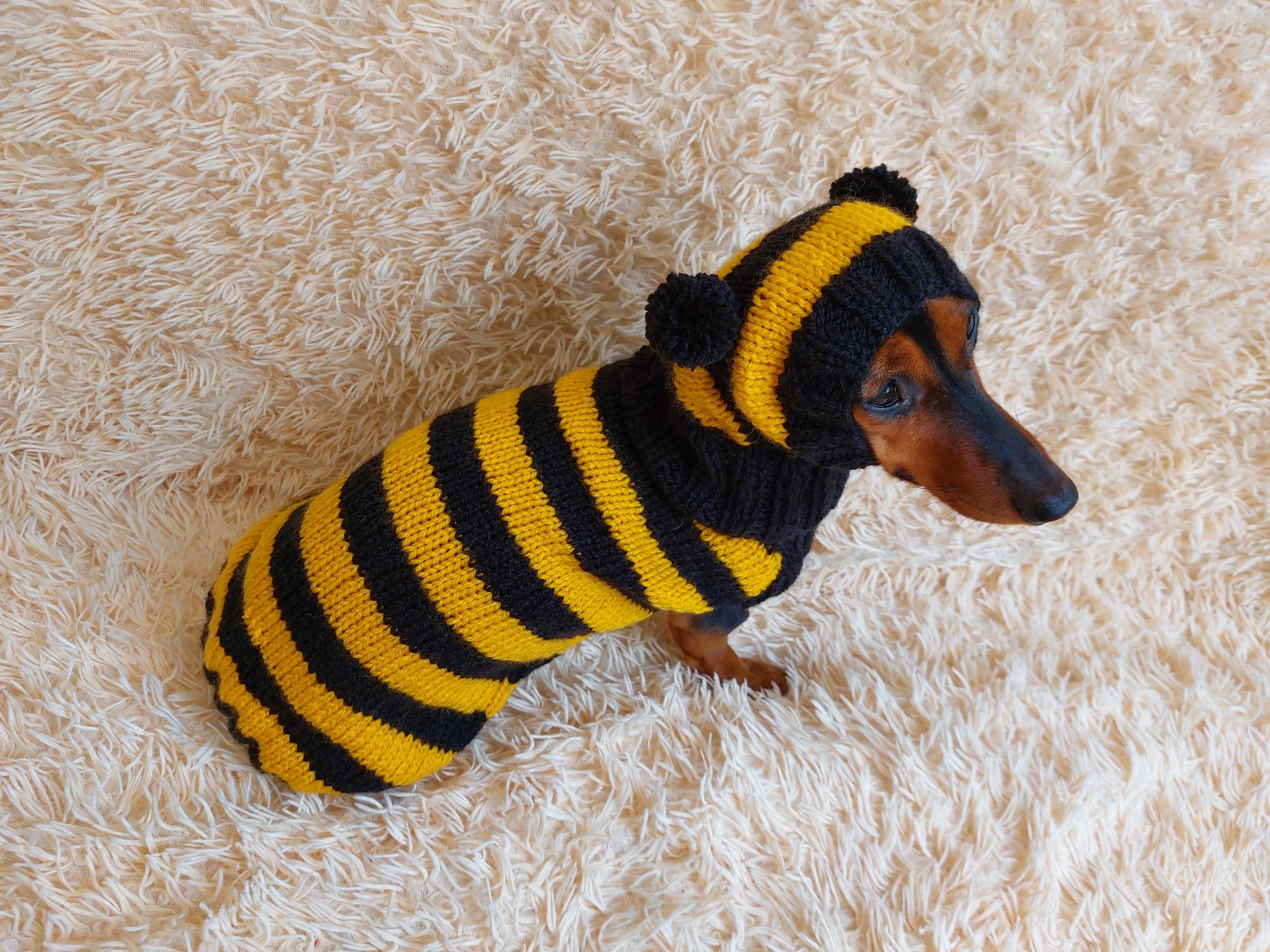 Bee Costume for Pet - Halloween Costume Sweater and Hat - Bee Dachshund Bee Set for Dog Photo Shoot - Dog Halloween Costume for Small Dog