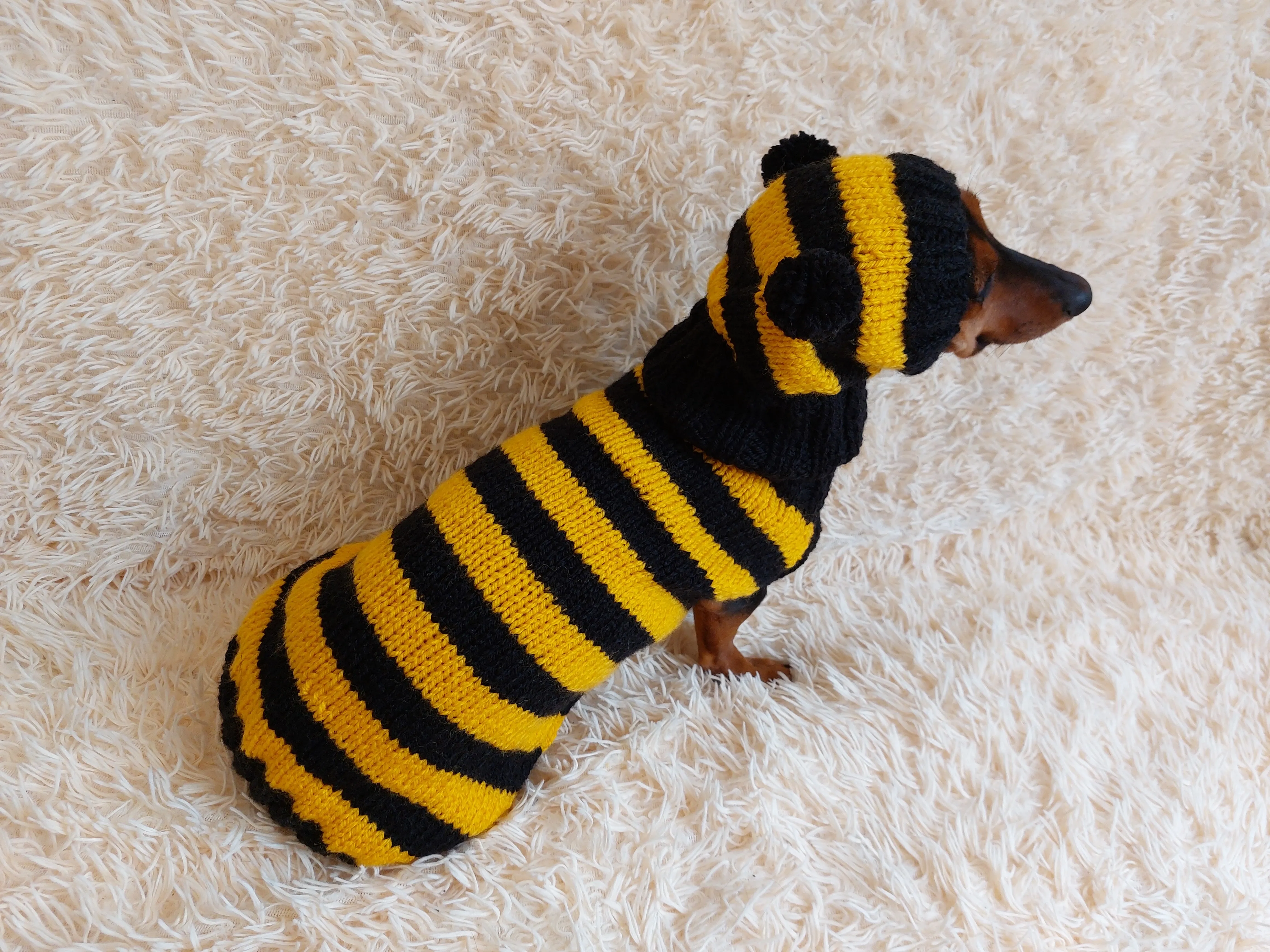 Bee Costume for Pet - Halloween Costume Sweater and Hat - Bee Dachshund Bee Set for Dog Photo Shoot - Dog Halloween Costume for Small Dog