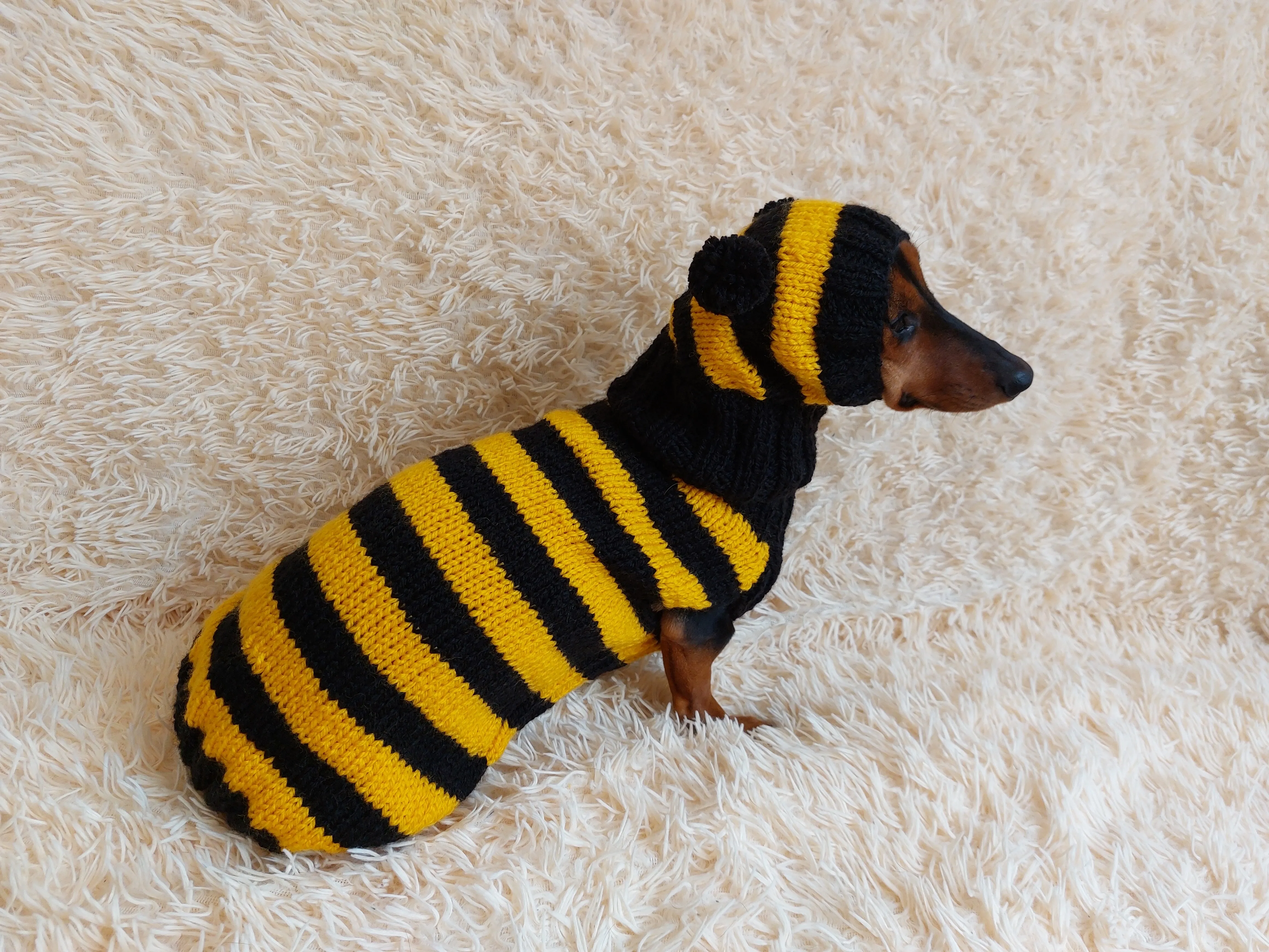 Bee Costume for Pet - Halloween Costume Sweater and Hat - Bee Dachshund Bee Set for Dog Photo Shoot - Dog Halloween Costume for Small Dog