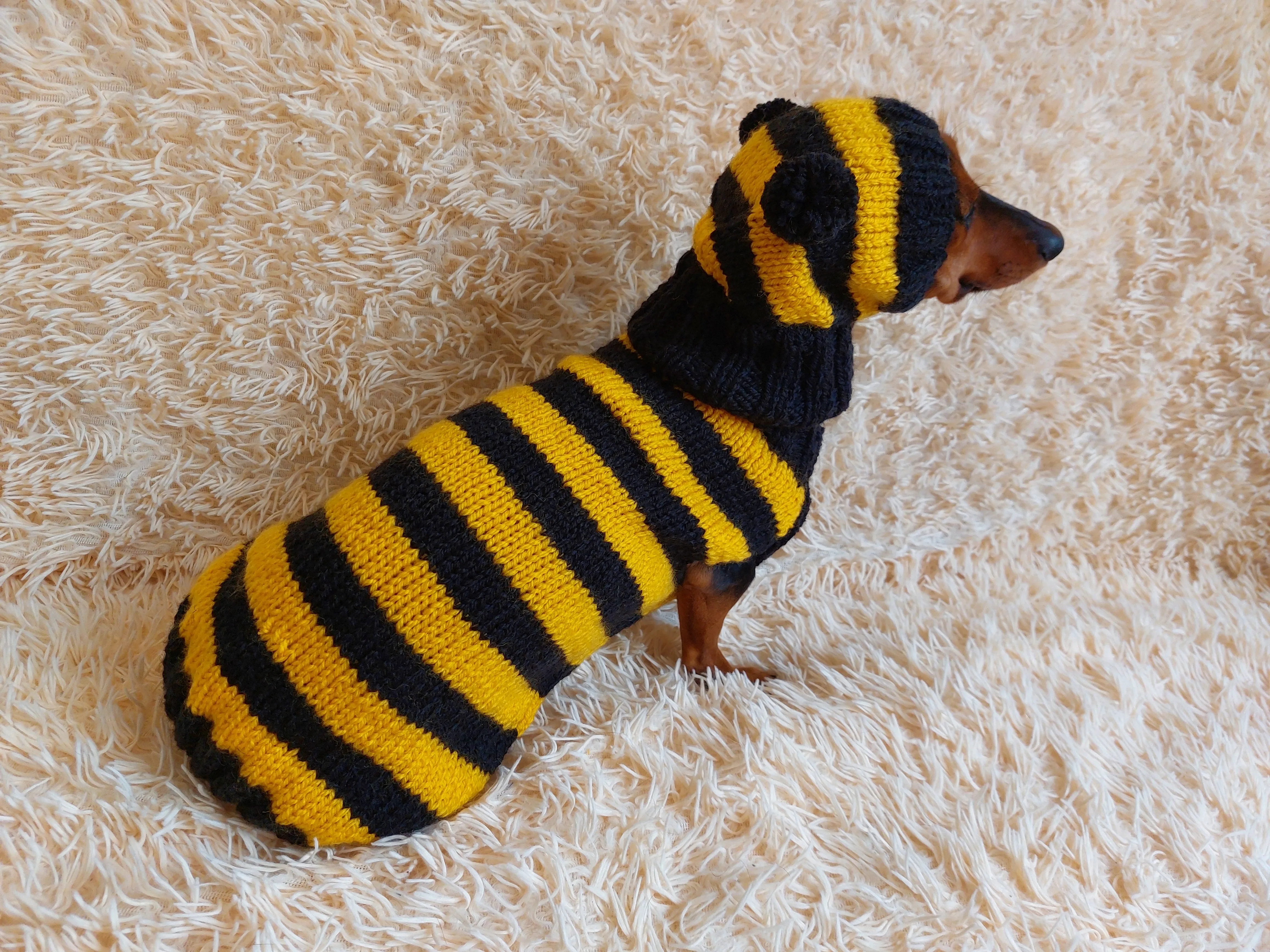 Bee Costume for Pet - Halloween Costume Sweater and Hat - Bee Dachshund Bee Set for Dog Photo Shoot - Dog Halloween Costume for Small Dog