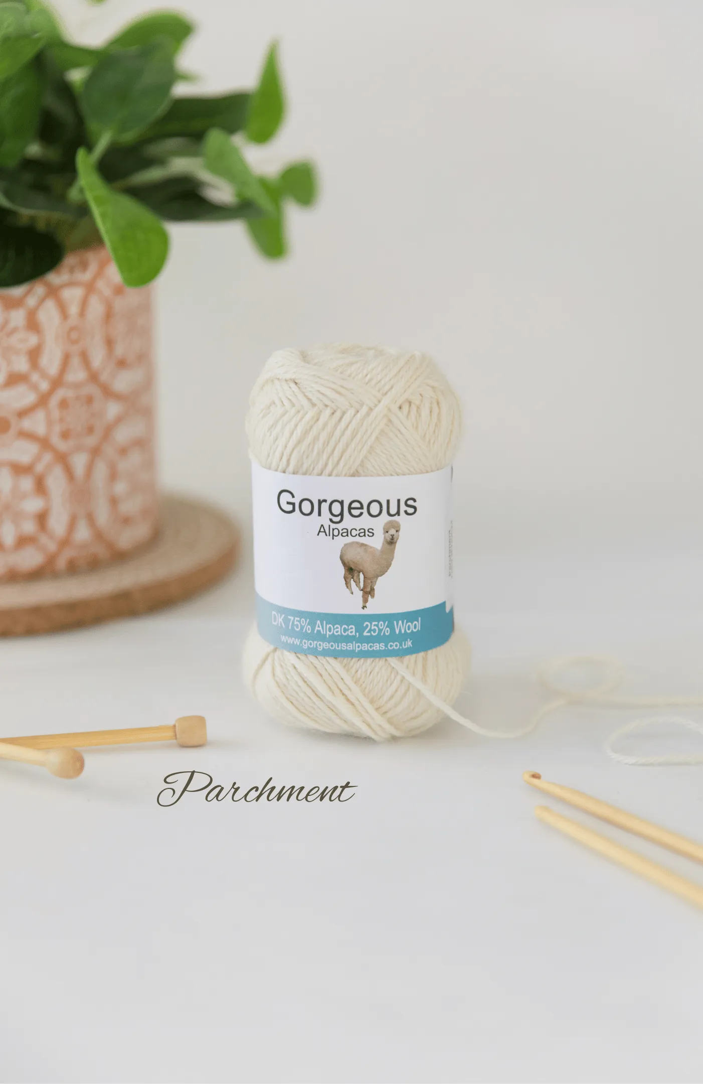 Crochet Kit - Fingerless Gloves