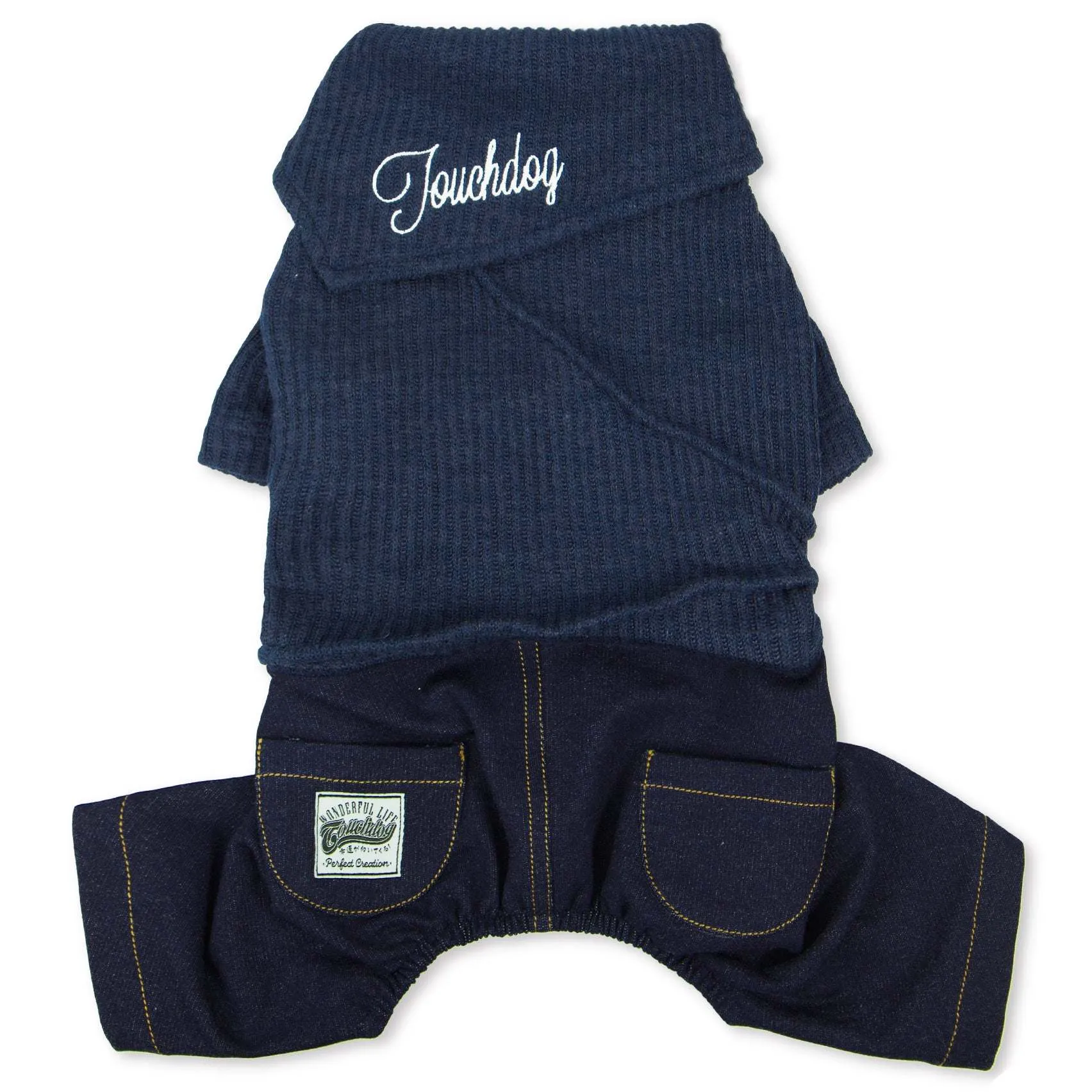 Trendy Dog Sweater and Denim Outfit