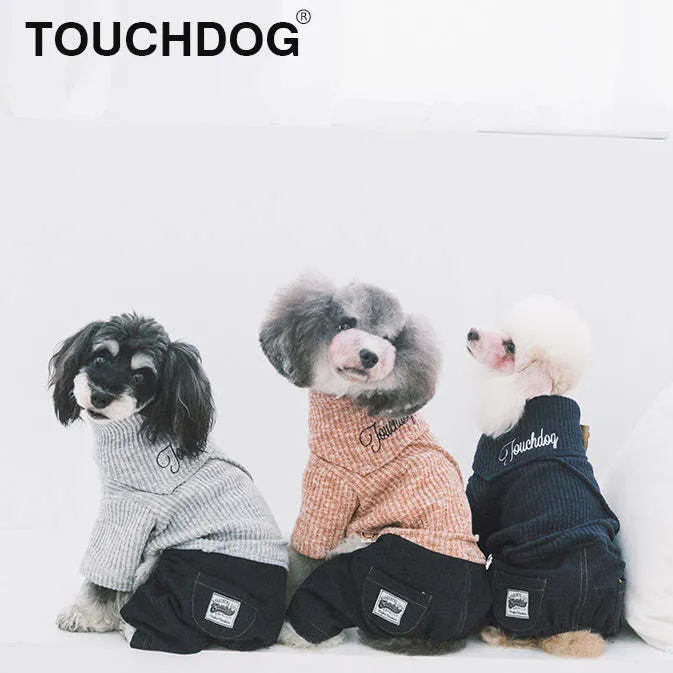 Trendy Dog Sweater and Denim Outfit