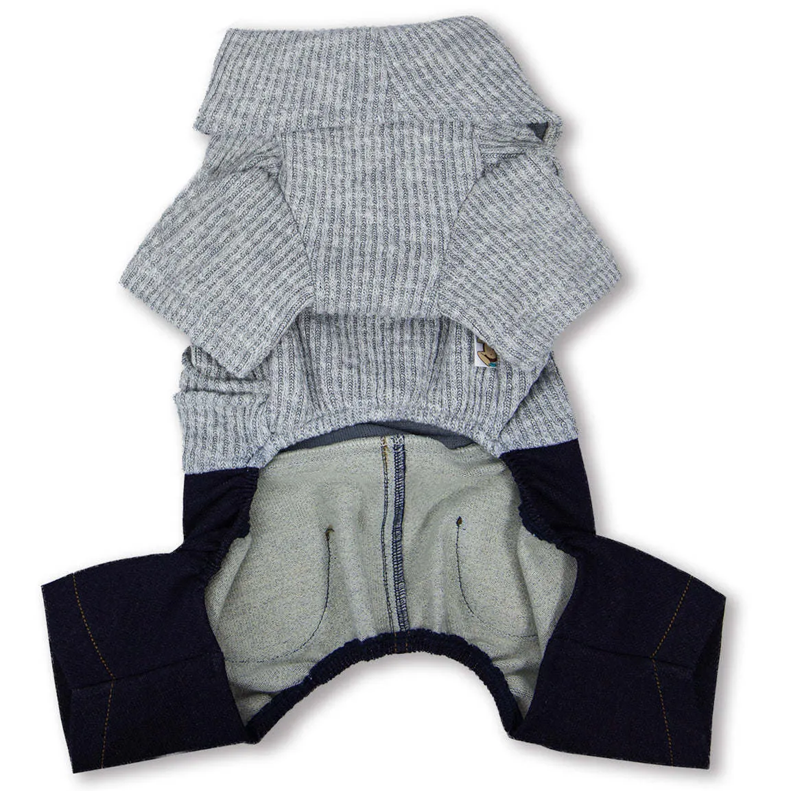 Trendy Dog Sweater and Denim Outfit