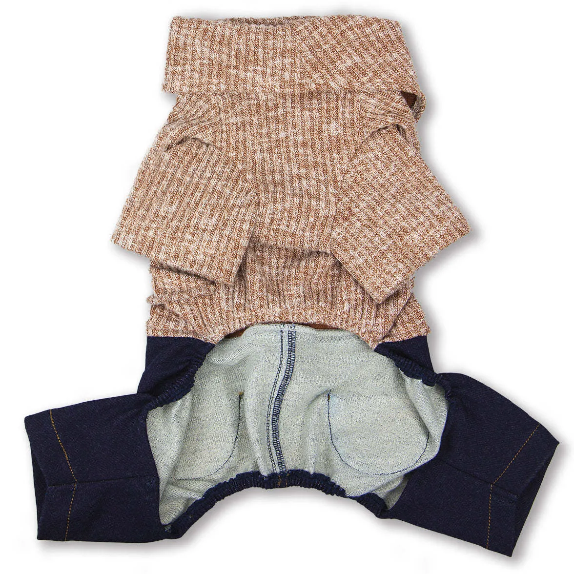 Trendy Dog Sweater and Denim Outfit