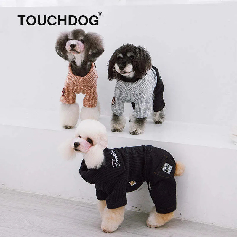 Trendy Dog Sweater and Denim Outfit
