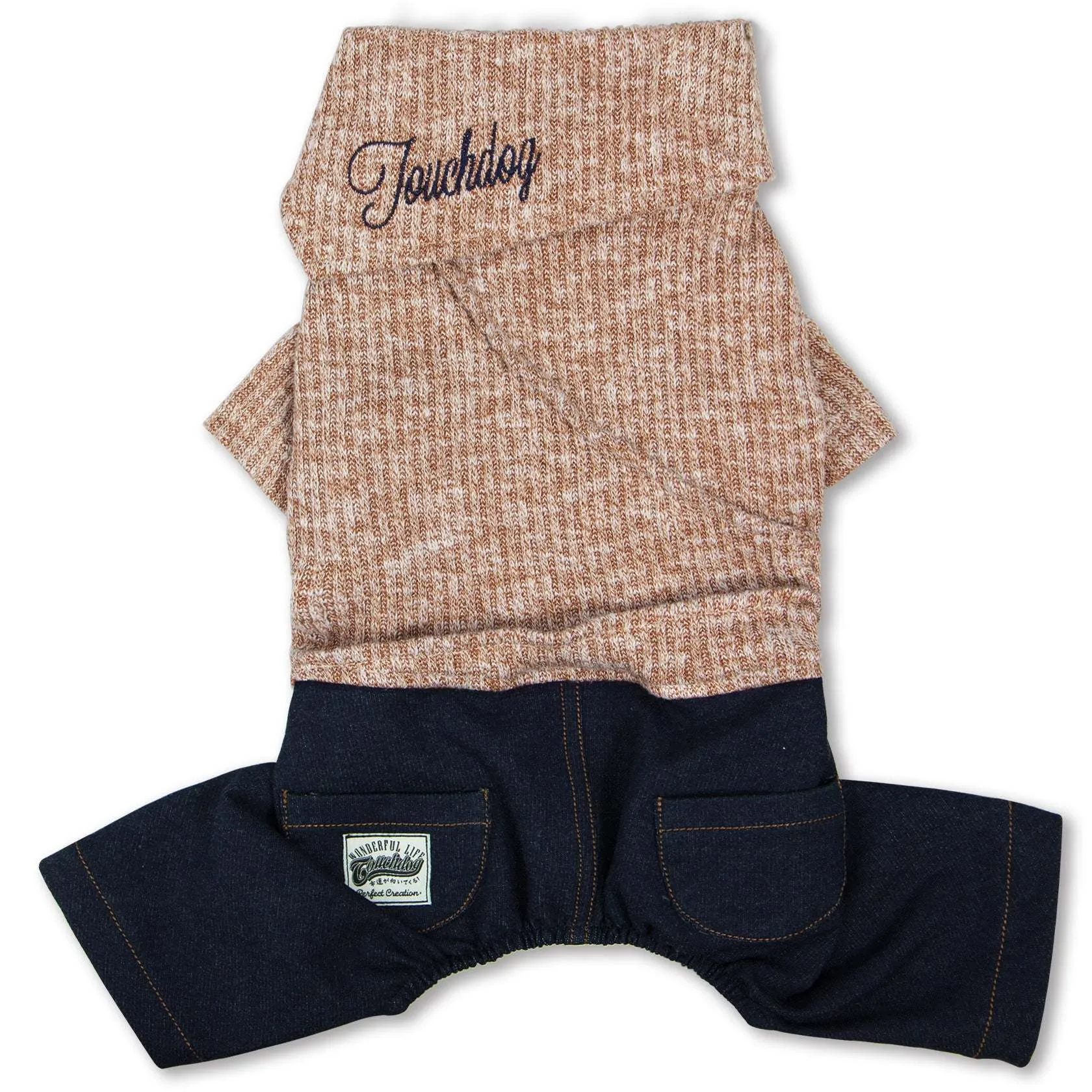 Trendy Dog Sweater and Denim Outfit