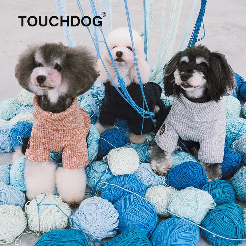 Trendy Dog Sweater and Denim Outfit