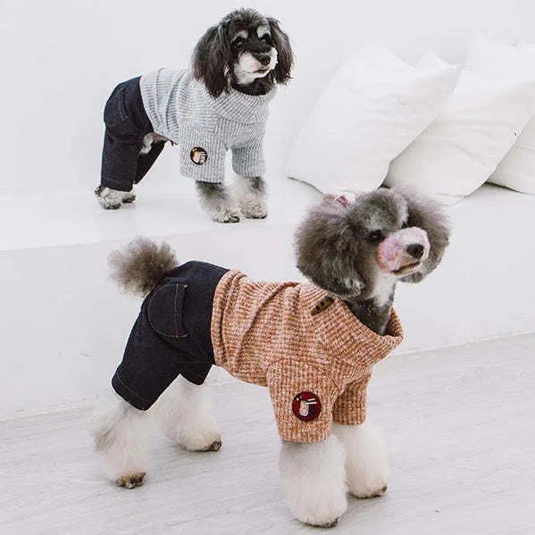 Trendy Dog Sweater and Denim Outfit